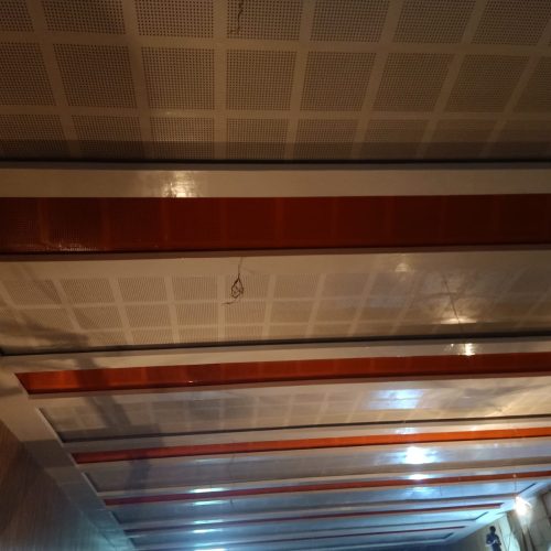 WhatsApp Image 2023-08-06 at 9.54.40 AM